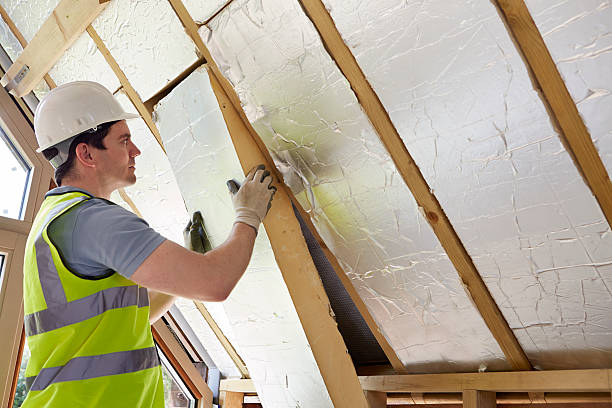 Best Eco-Friendly Insulation in Makaha, HI