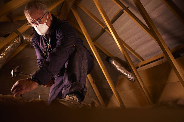 Best Commercial Insulation in Makaha, HI